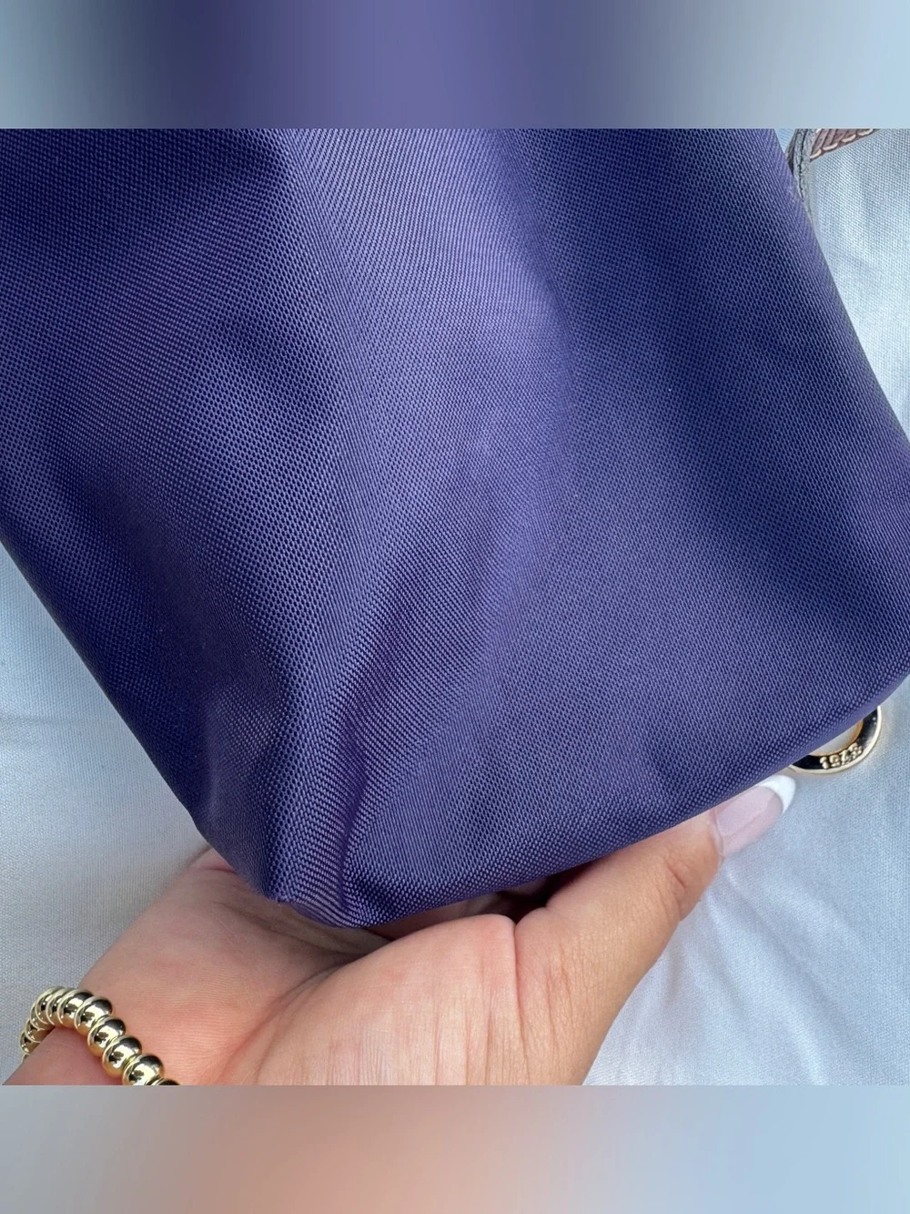Longchamp Le Pilage Cosmetics Bag - Purple